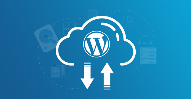 How to Back up your Website and Why It’s Important
